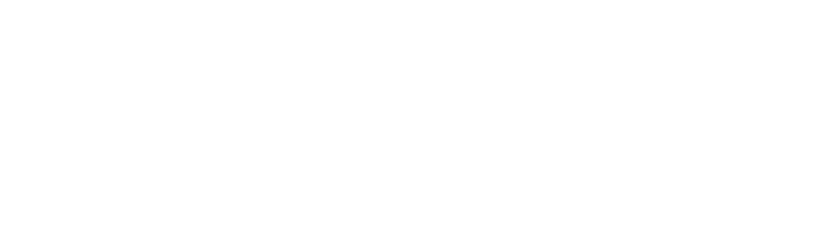RISE+